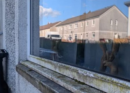 Window sill covered in green algae before cleaning